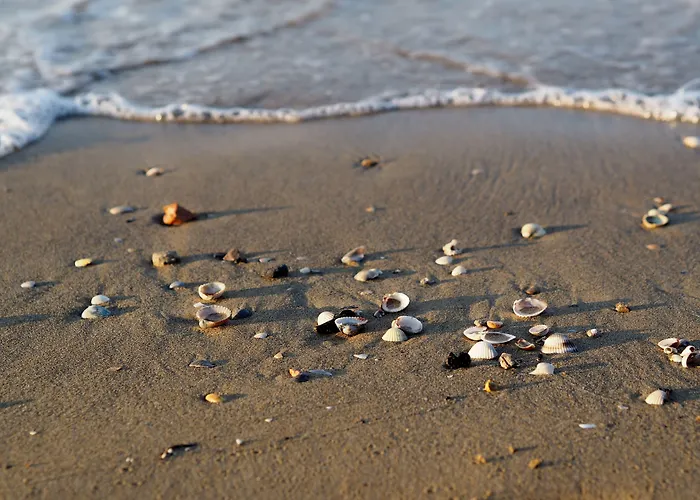 Recently Built Flat With Pool And Balcony *